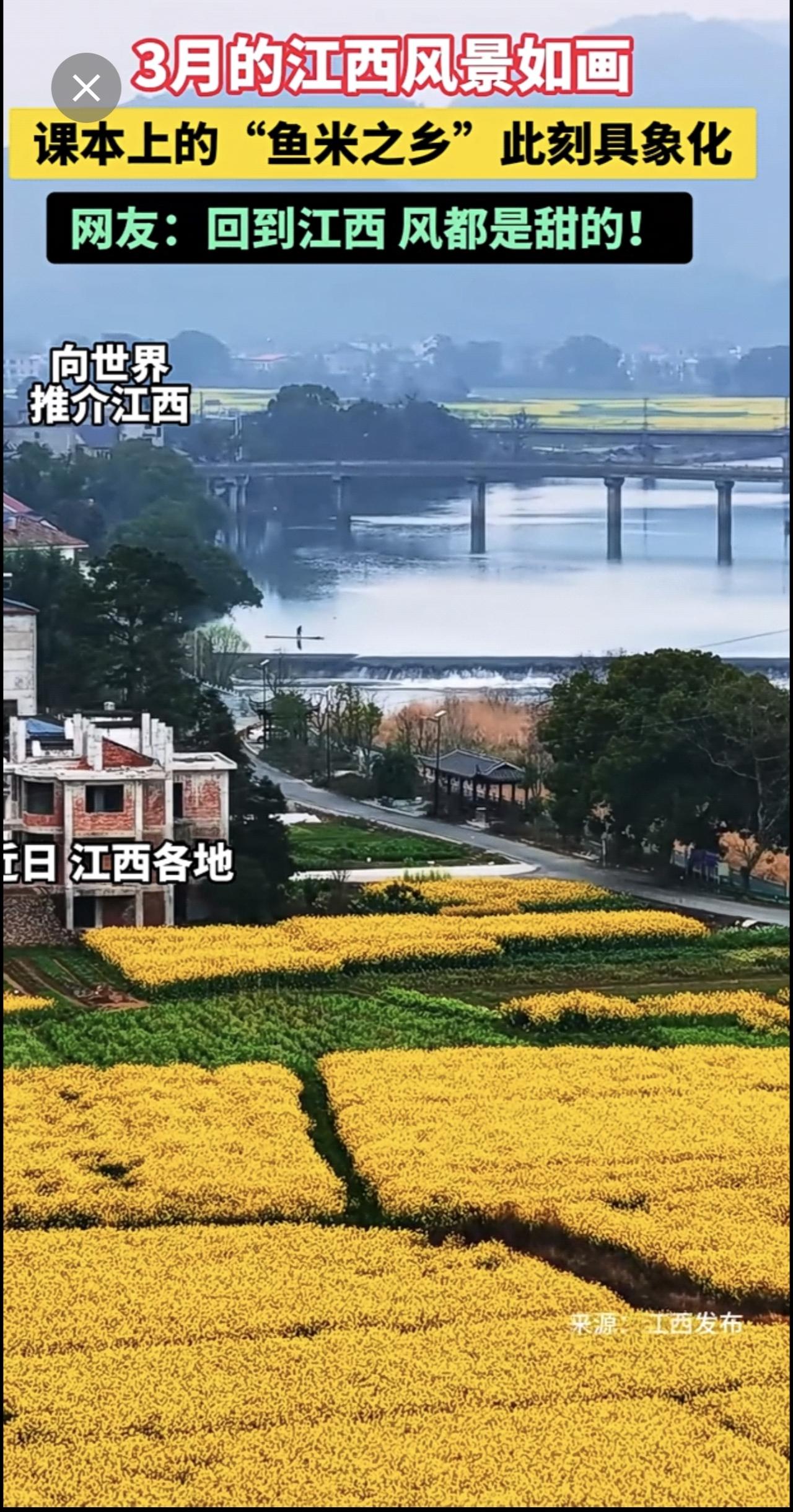 三月春风暖，课本里的“鱼米之乡”，终是眼见为实江西风景独好 油菜花鱼米之乡