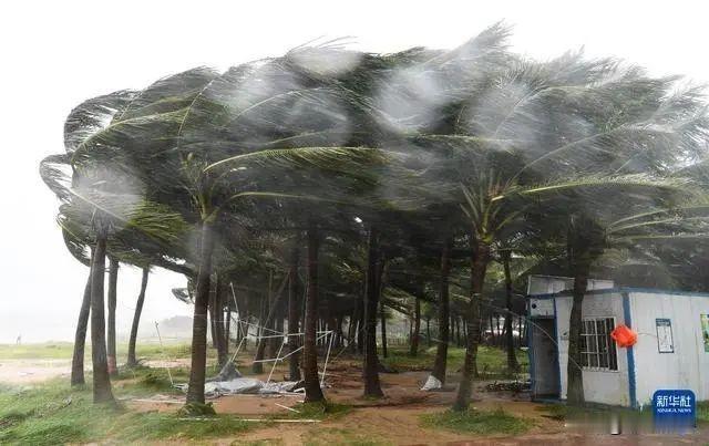 太让人气愤了！这学校领导是怎么想的？海南大学台风后水电供应不足强行复课，还让学生
