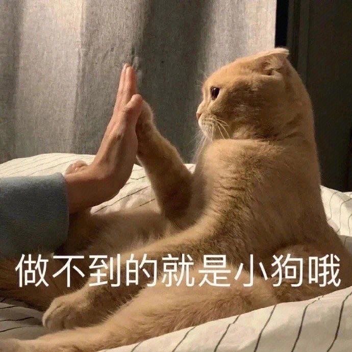 来丰富一下表情包[送花花][送花花][送花花] ​​​
