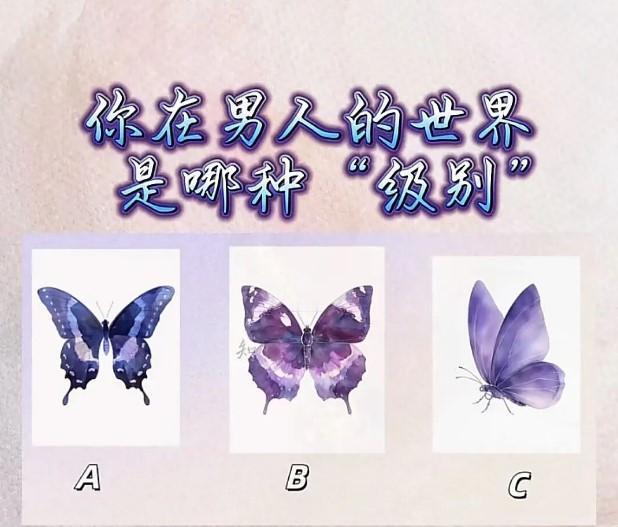 你在男人的世界是哪种“级别”的女神

选A：被封印的赤诚追光者
你身上藏着被暂时