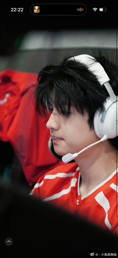 完全강아지、 
