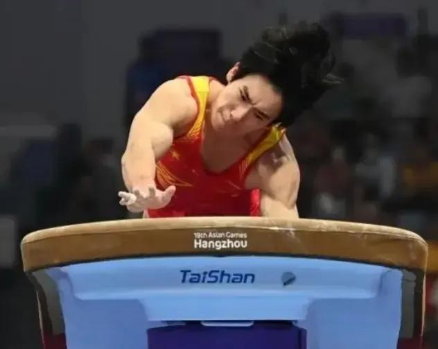 张博恒是一位体操运动员，他因为自己出色的表现和对自己运动的热爱而备受赞誉。从他年