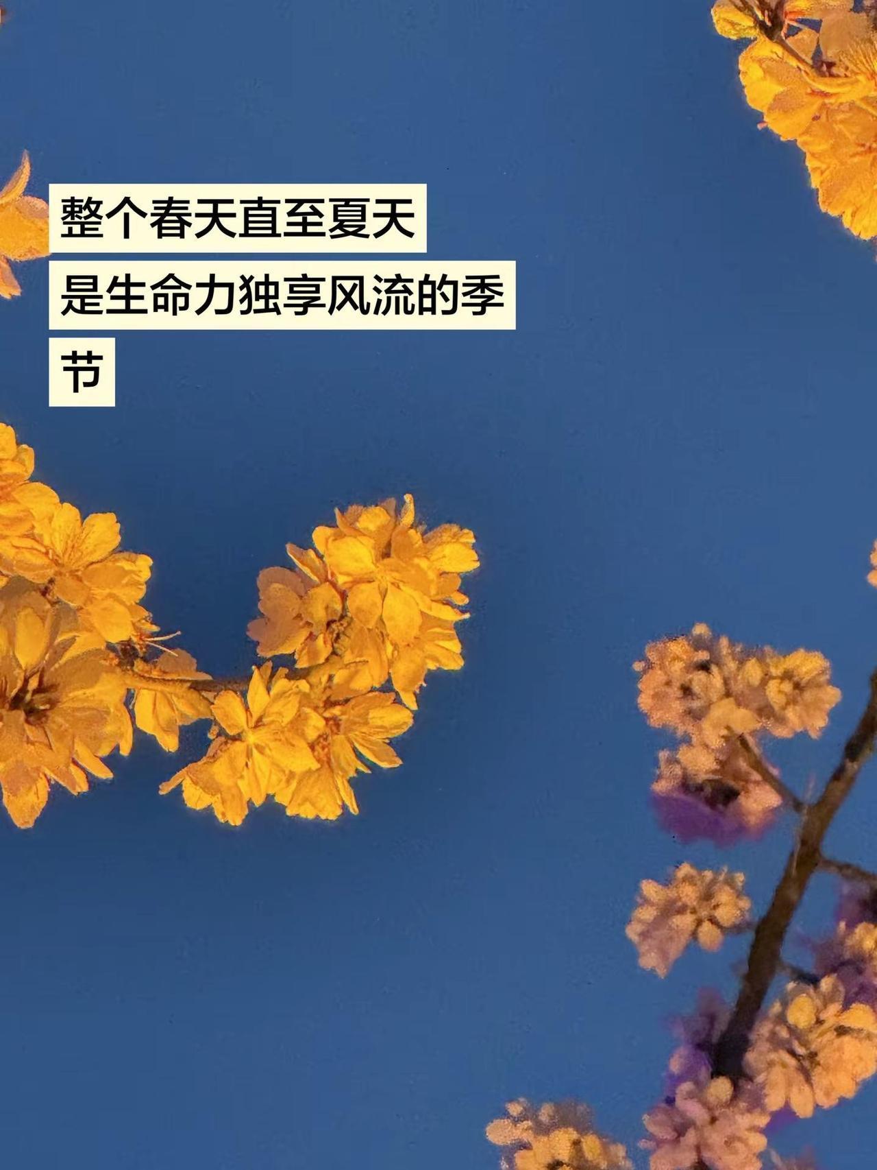 整个春天直至夏天是生命力独享风流的季节