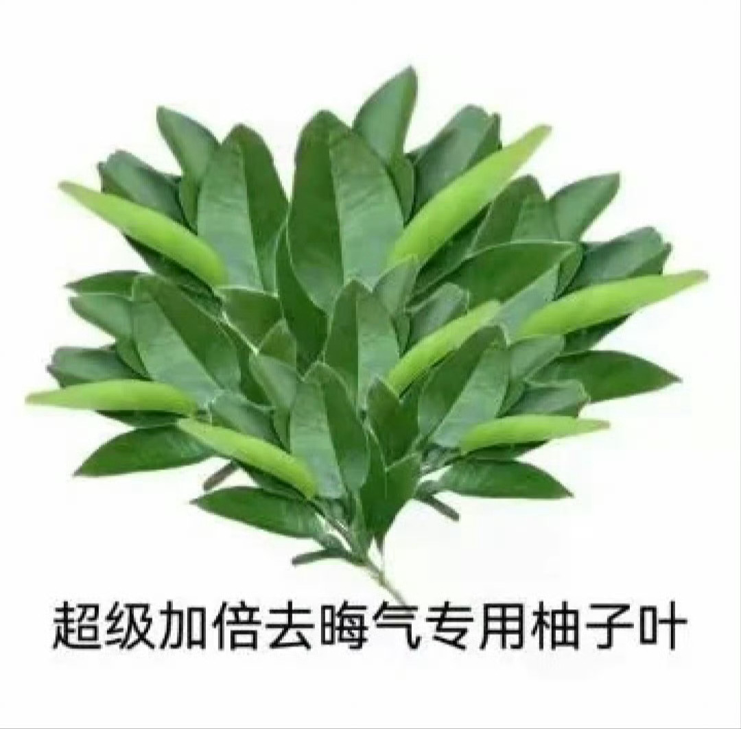 去去晦气，别被瘟到。