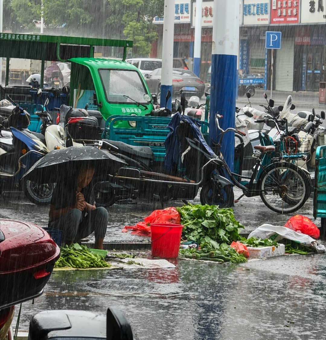 一大早下起了暴雨看到一个老翁在雨中卖菜 