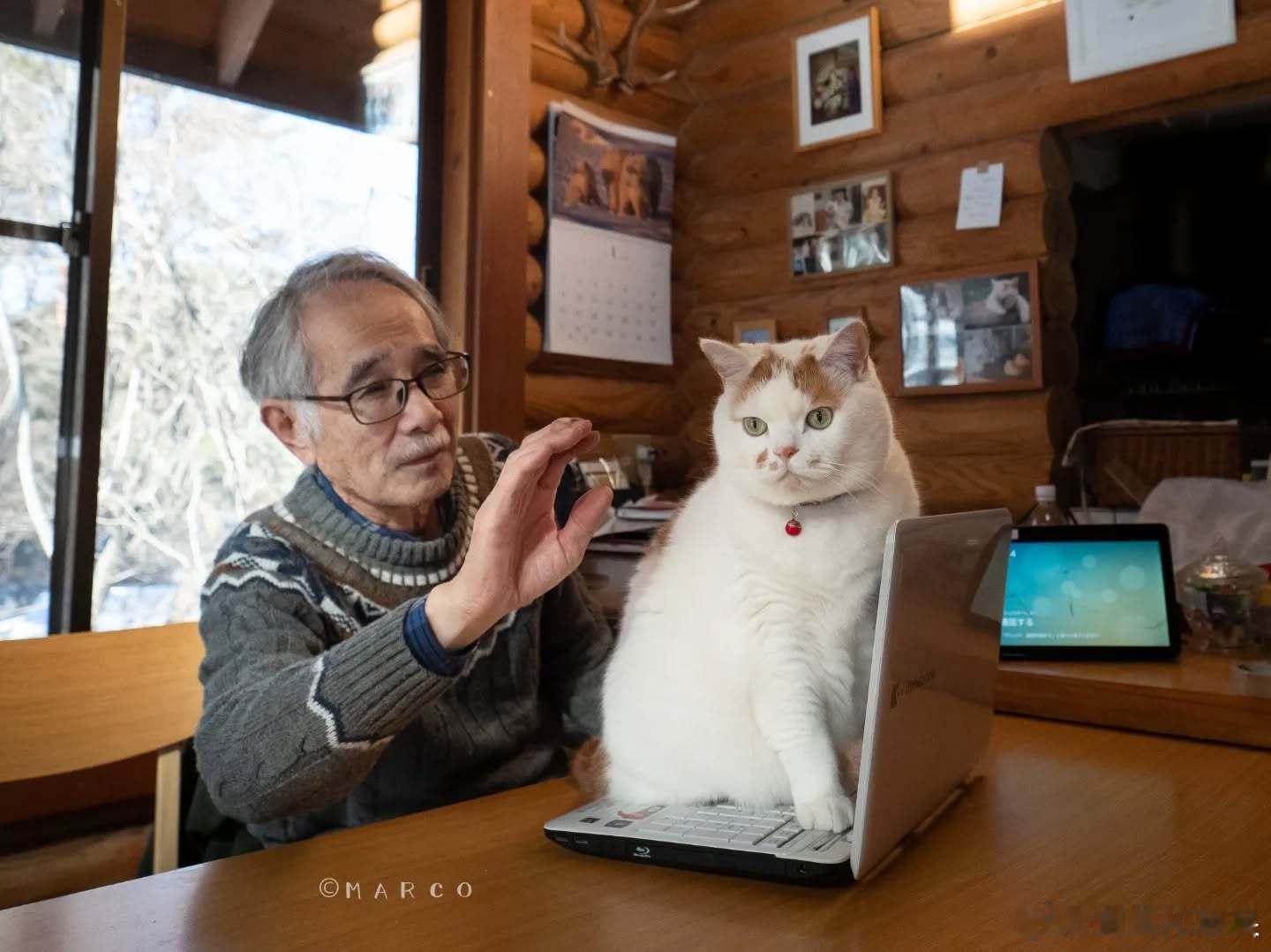 2岁～12岁的恶霸橘猫和爷爷cr：marco77774 