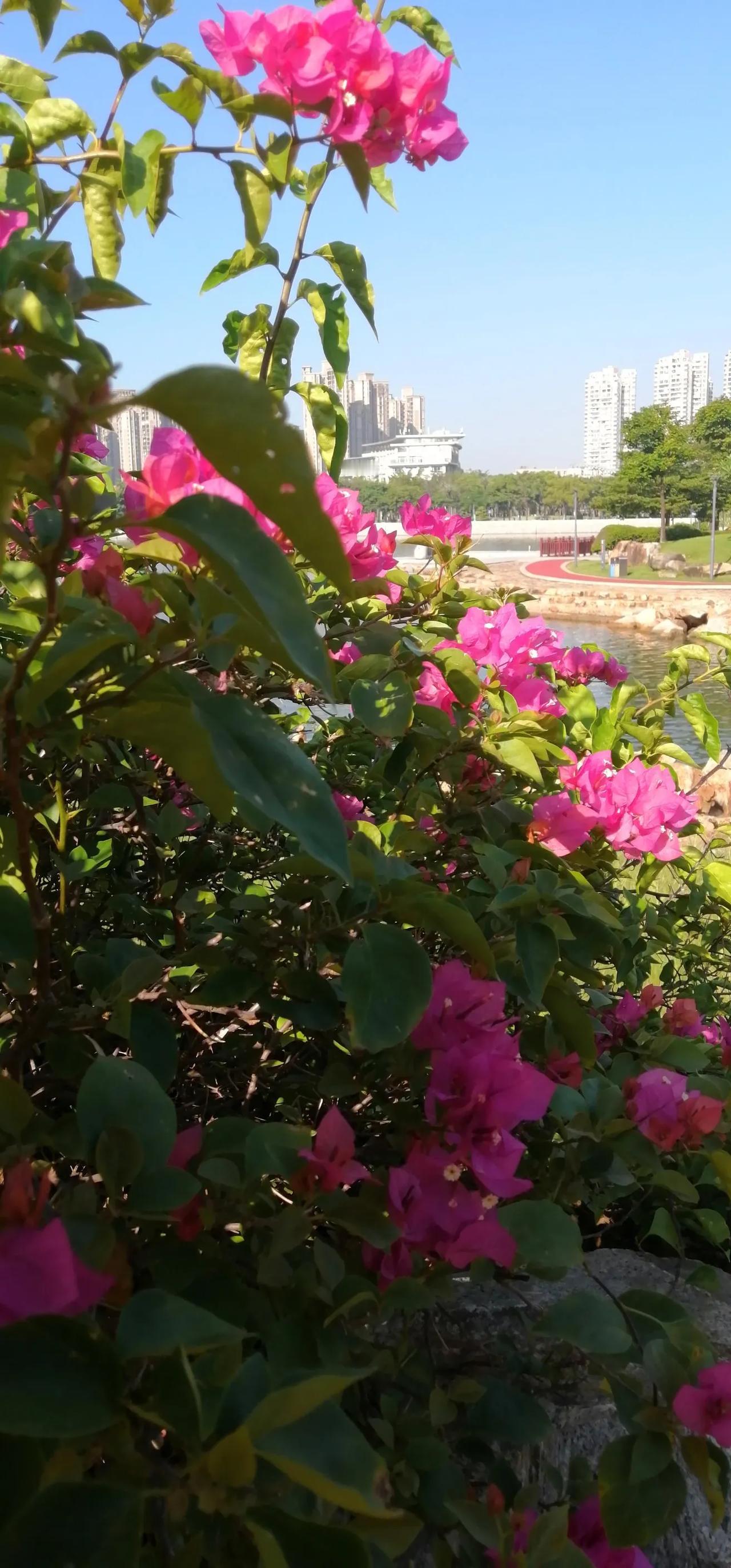 今天是农历九月初九日重阳节，是中国传统节日之一。
《易经》中，把