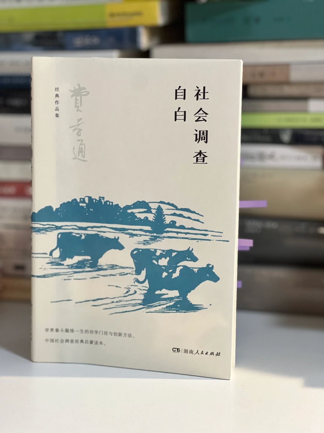 费孝通调查方法大揭秘
