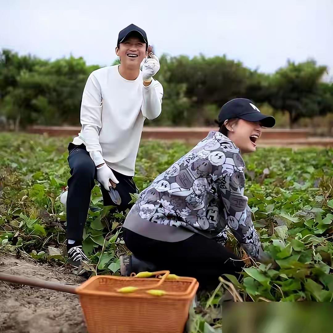 孙俪豪宅出圈，庭院种菜自给自足，远离喧嚣，褪去明星光环，粗茶淡饭守田园，慢生活里
