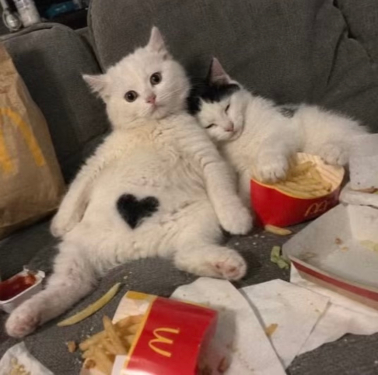 星鑫，更具体点猪猪鑫跟若汁星 