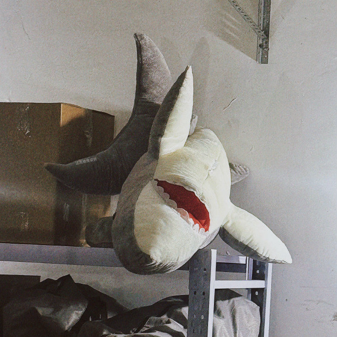 朱志鑫感受一下温度上升 朱志鑫剪头发随拍 朱志鑫感受一下温度上升，朱志鑫剪头发随