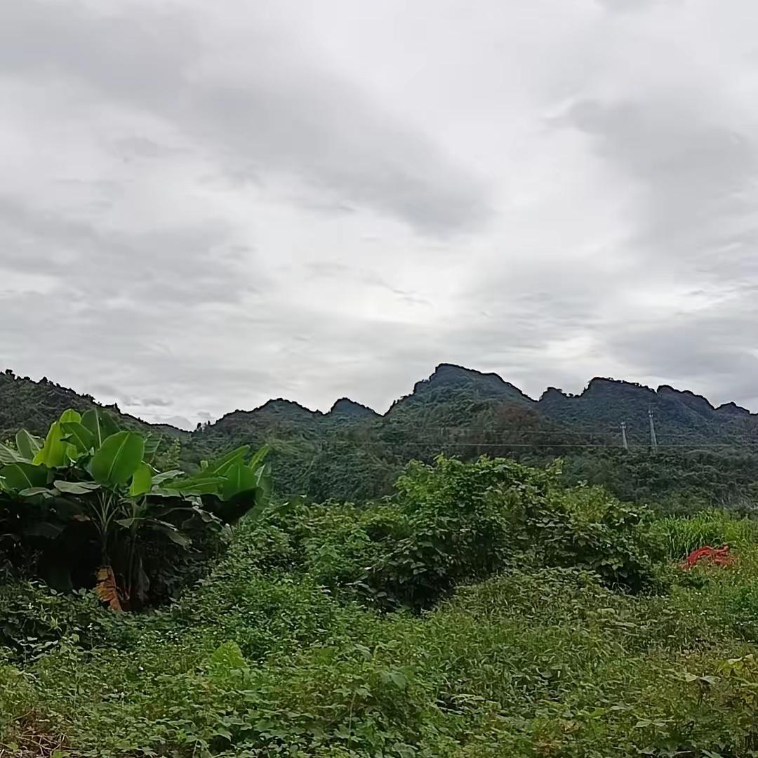 大家有没有发现，上一辈人的吃苦劲儿，咱们这代年轻人真得好好学学！六七十岁的老人，
