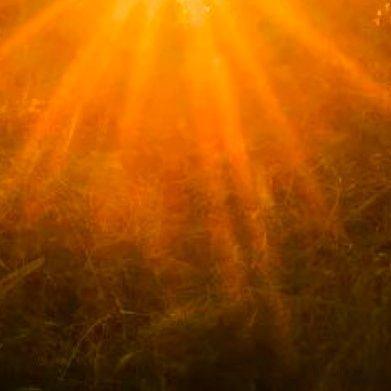 早安我的中国早安，老兵！晨光正好，初心如磐。曾经苦练杀敌本领，只为一声号令；如今