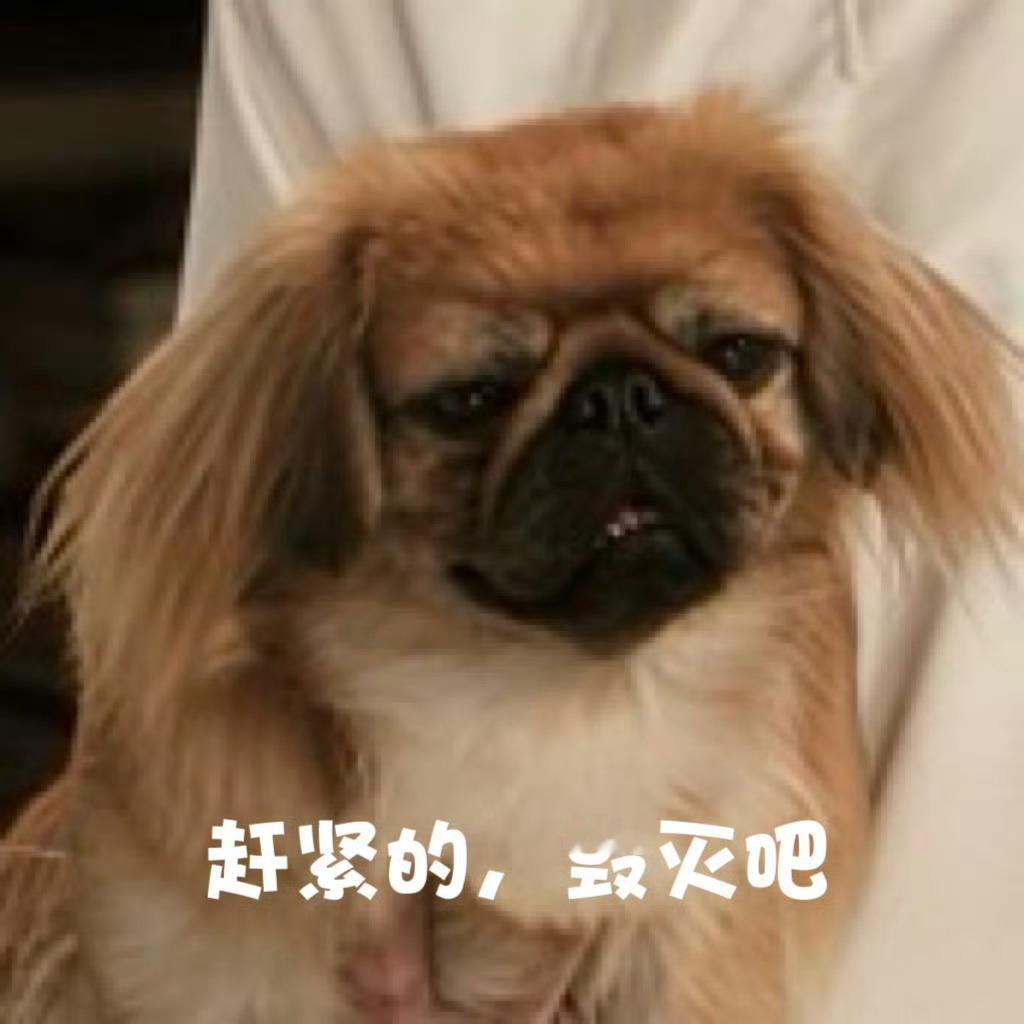累到地上有曾舜晞签名照都捡不动了