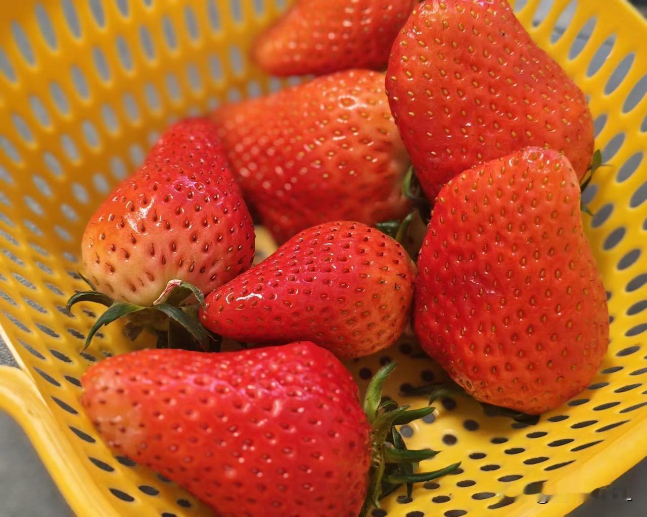 草莓满篮，春意盎然，酸酸甜甜的味道，真的爱了爱了。