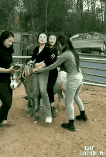 欺“马”太甚了？
不给你们点儿颜色看看，不知道你马爷三只眼，哈哈哈，怎么样，略施