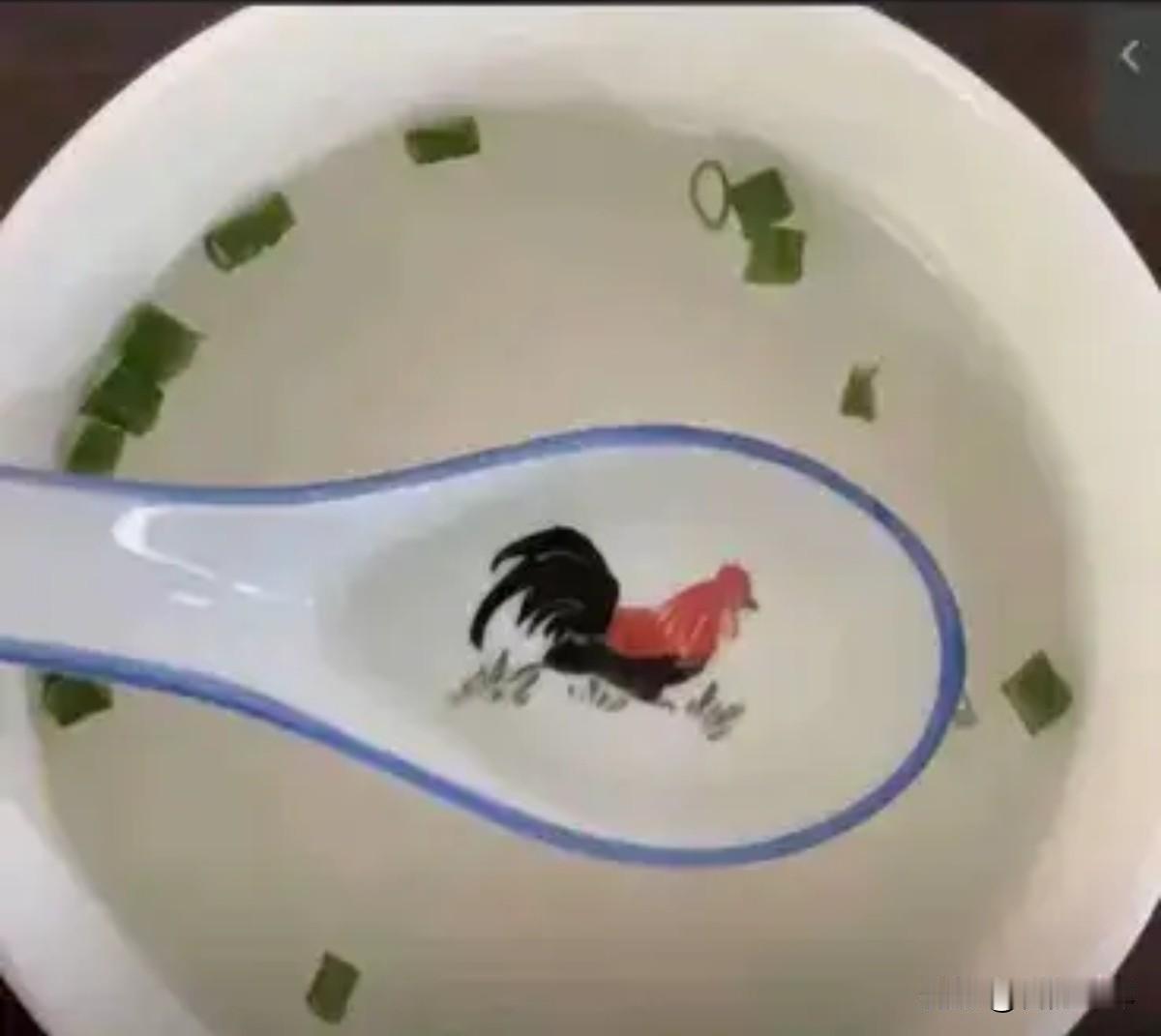 我们公司今天喝鸡汤