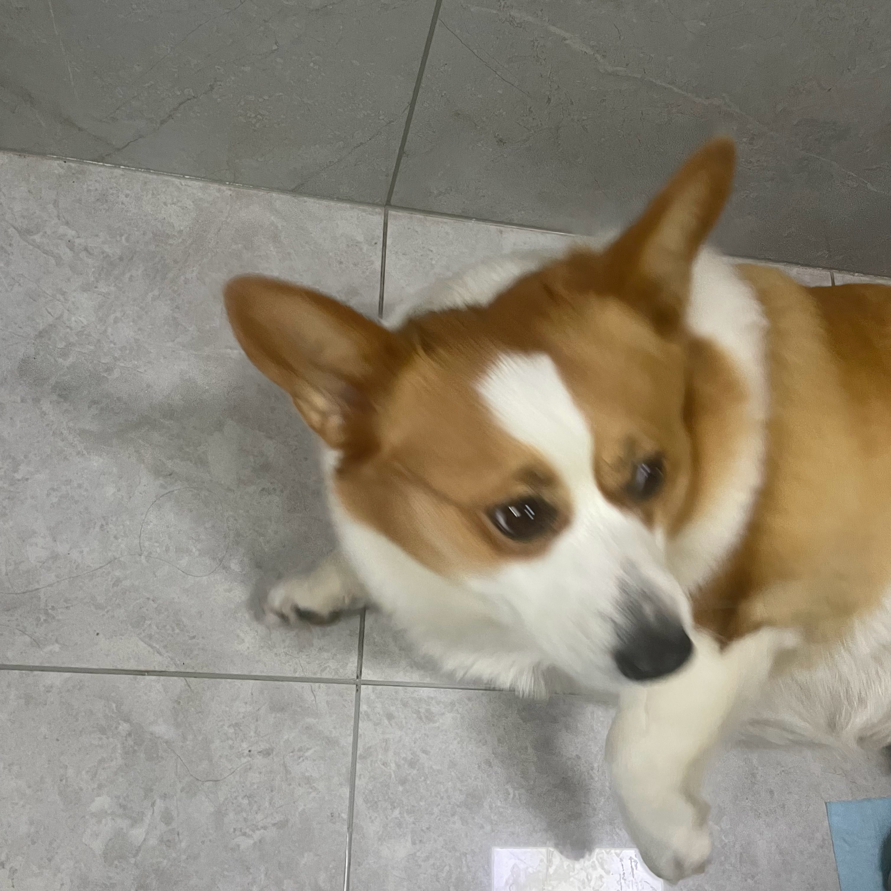 最佳🚾拍档 但是宝宝 我也需要一点私人空间