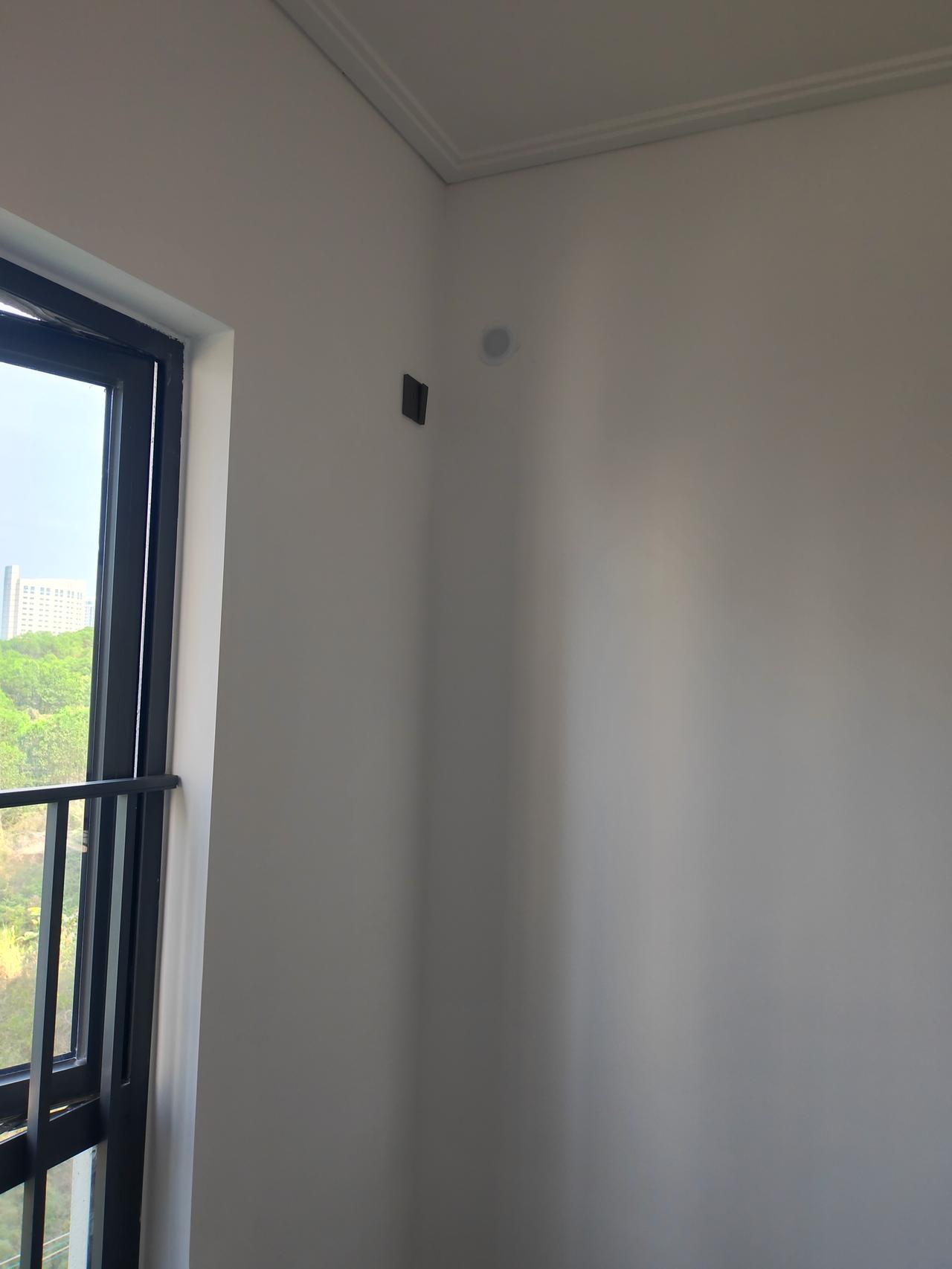 冬日生活打卡季