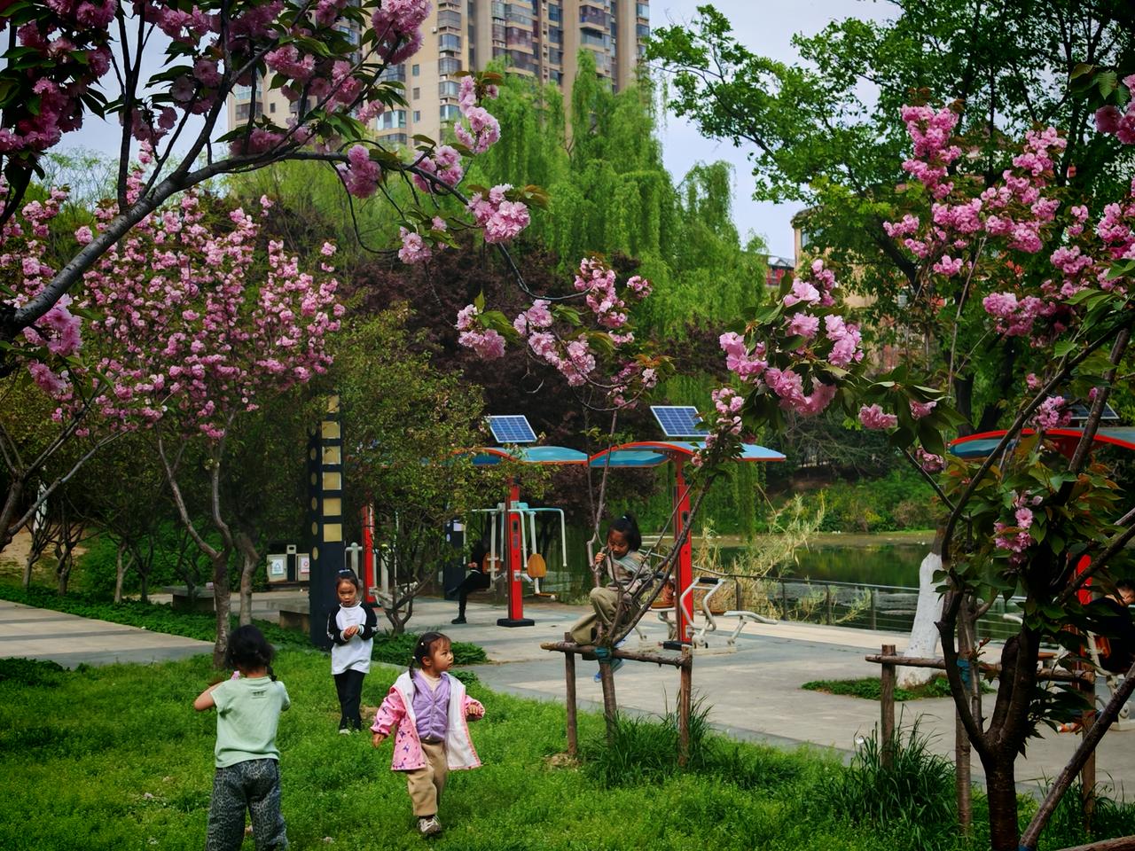 春天来了，万物复苏