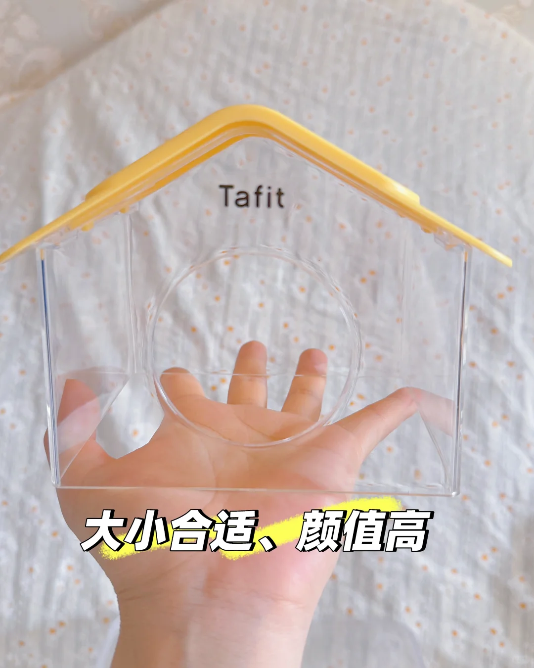 它适新品：星空窝和彩虹爬梯