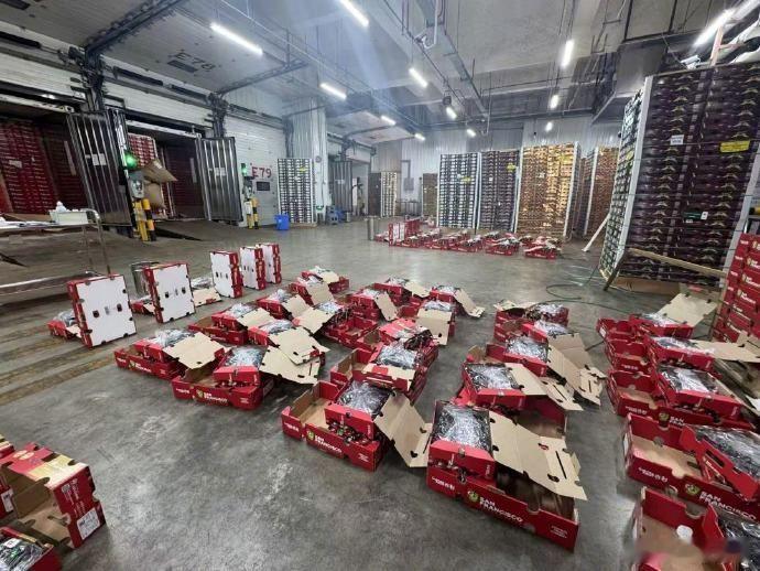 智利车厘子勾住幸福红 智利车厘子，这一个进口水果产品，在国内一个水果批发市场中，