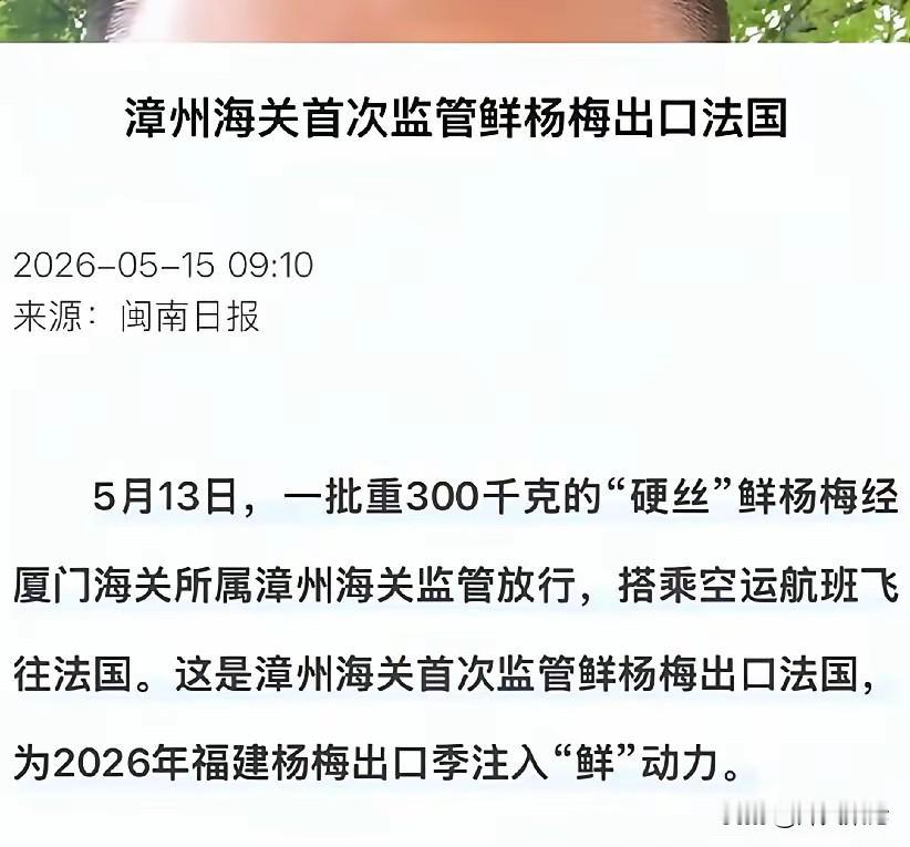 网友那句“难道我要吃最好的杨梅到欧盟去吗？”，真是扎心了。

这背后藏着的，哪是