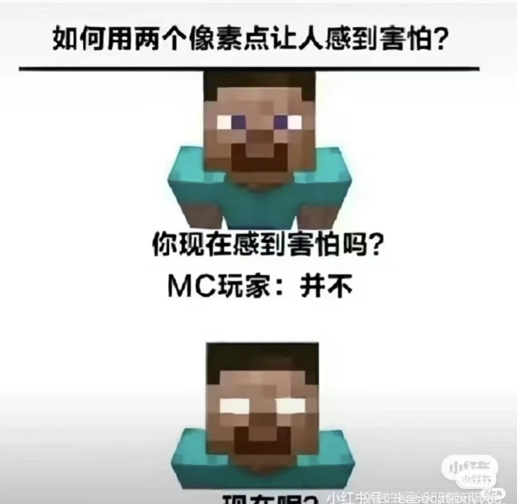 梗图 此图有梗 我的世界老玩家 本人精神状态 我美丽的精神状态 我的
梗图 此图