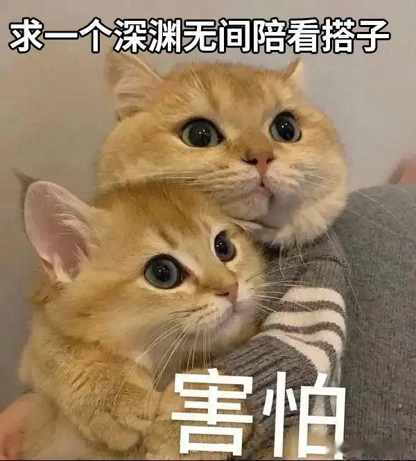 深渊无间尺度堪比现偶床戏谁能想到悬疑剧的张力这么顶，深渊无间高能名场面氛围感拉满