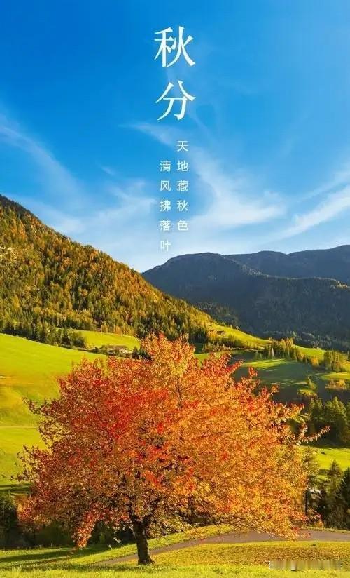 《天地平分秋色赋》

秋分，是乾坤间温柔的执衡者
携一身清浅秋光，款款奔赴人间