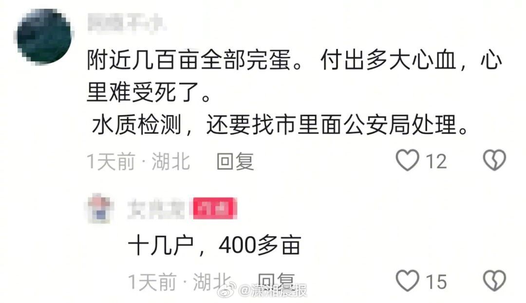 【湖北网友称#小龙虾死亡疑无人机为农作物打药所致#，#当地回应养殖小龙虾大量死亡