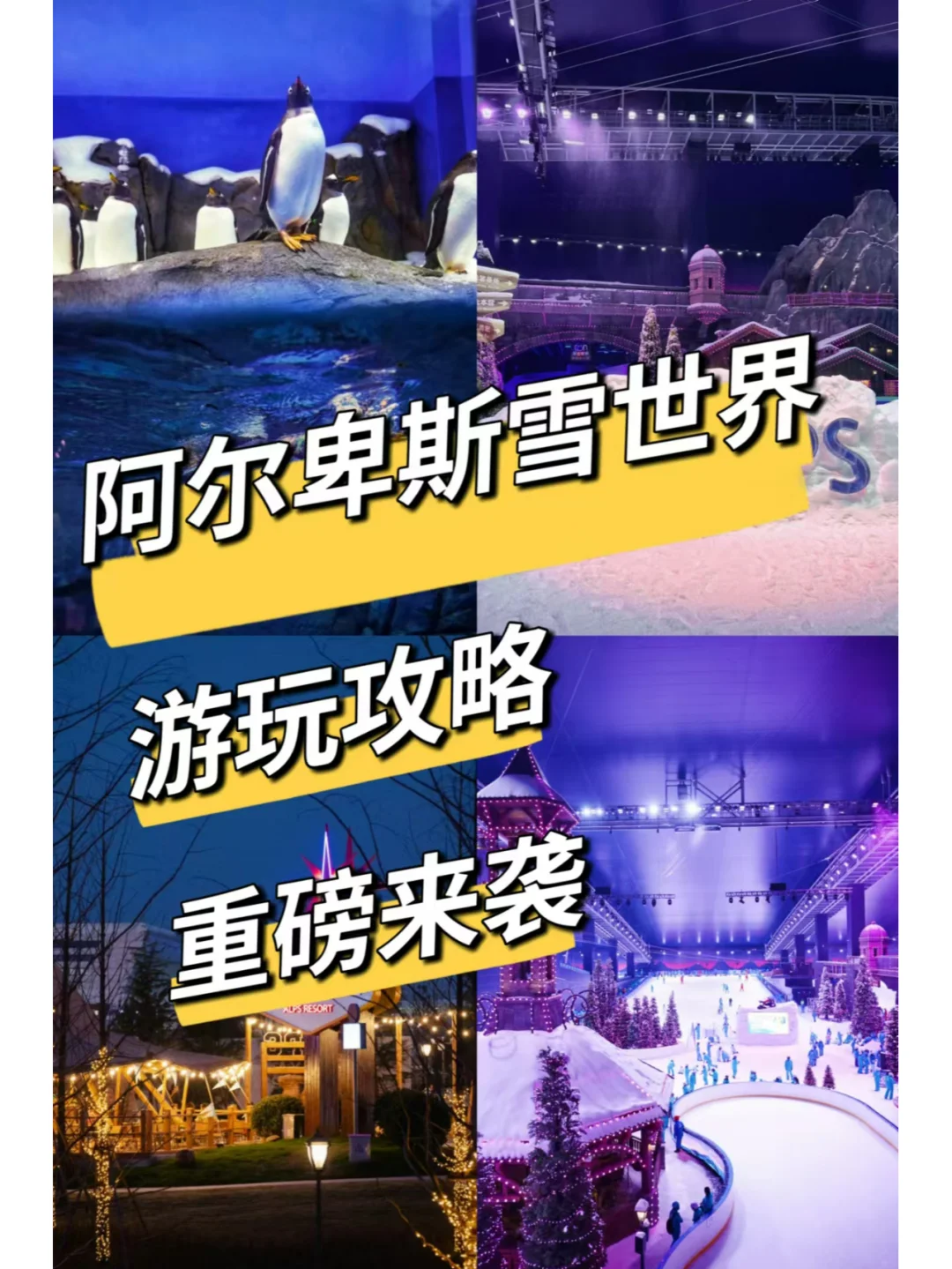 滑雪初体验⛷阿尔卑斯雪世界太值啦！！！