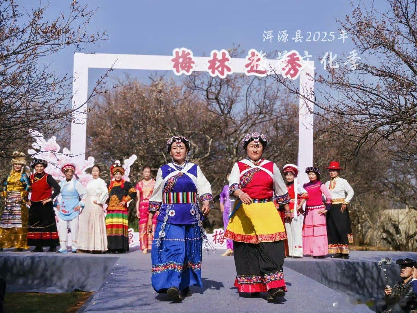 大理洱源2025年梅花文化季的启幕 梅花作为中国的传统名花，象征着高洁与坚韧，此