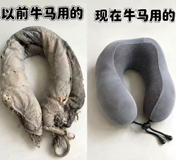 牛马，永远都是牛马。 ​​​