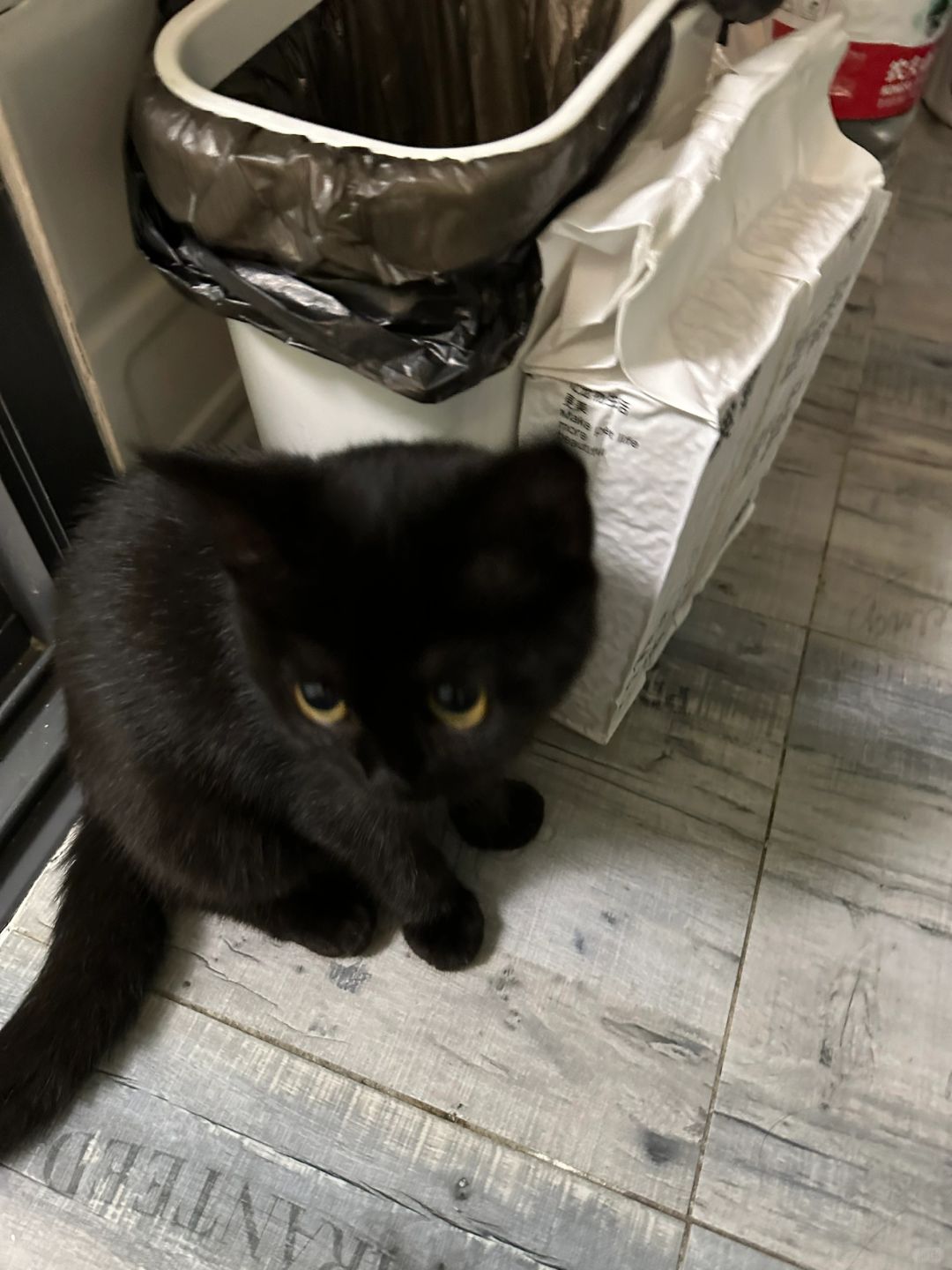 宝宝是垃圾桶保安