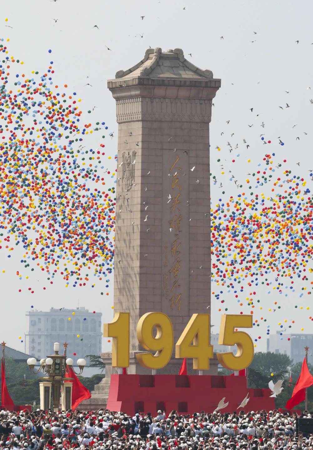 8万羽和平鸽是如何找到家的?遇到疑似“迷路鸽”该怎么办?一文