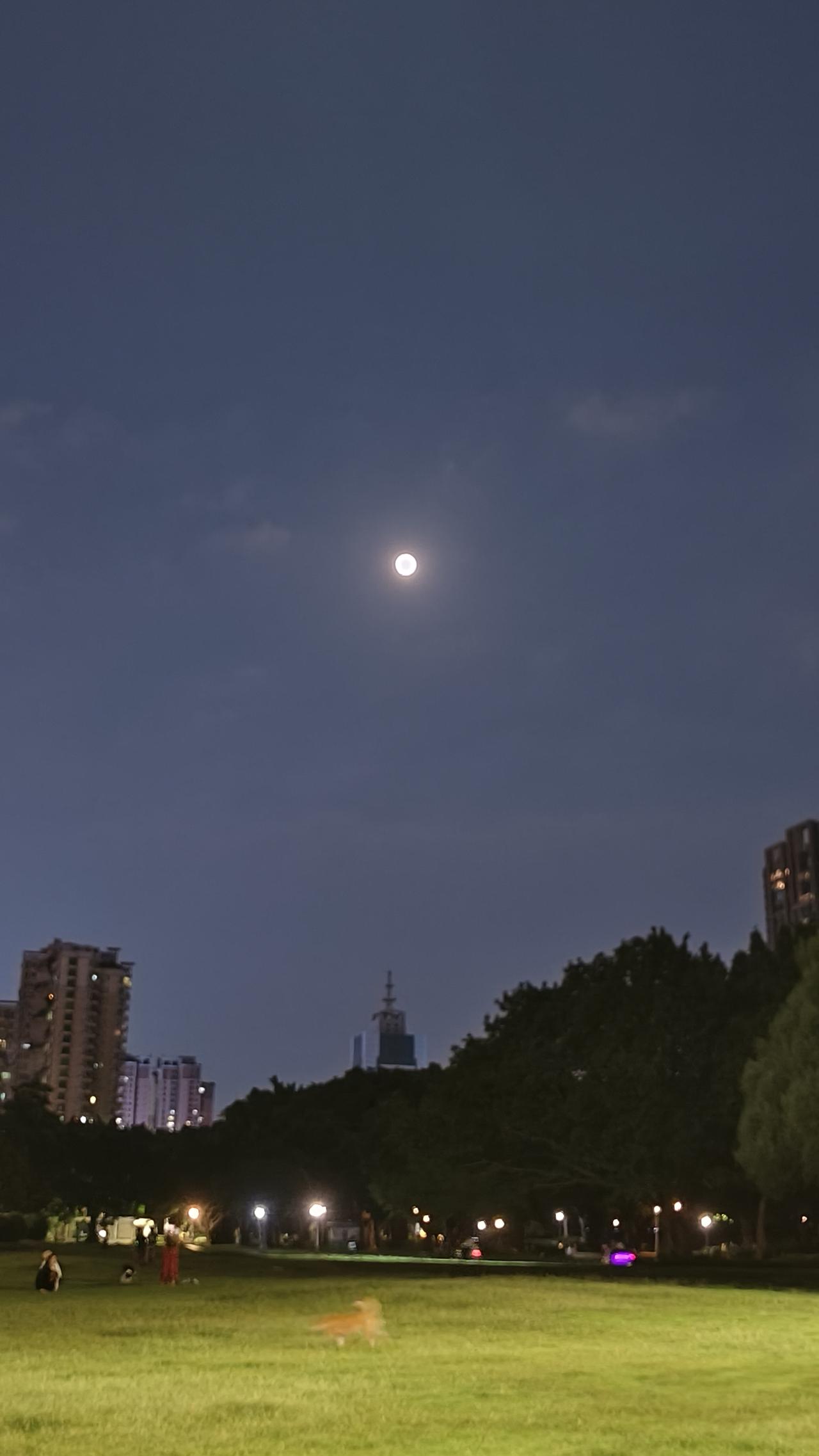 请你赏月，坐标：佛山季华园

晚上的季华园狗好多，不敢走草地。

公园没风闷闷热