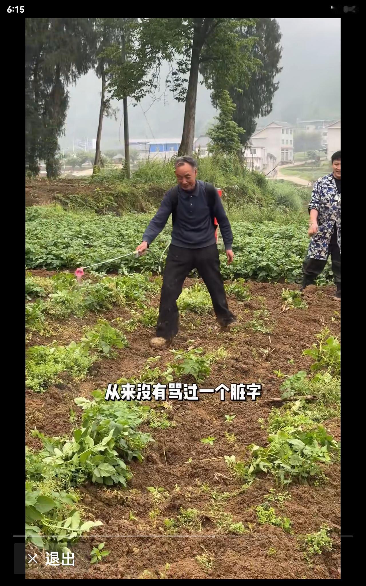 看了个视频，两位老人在自家后院种了些蔬菜。我瞧见老人似乎在喷洒着什么，想来定不是