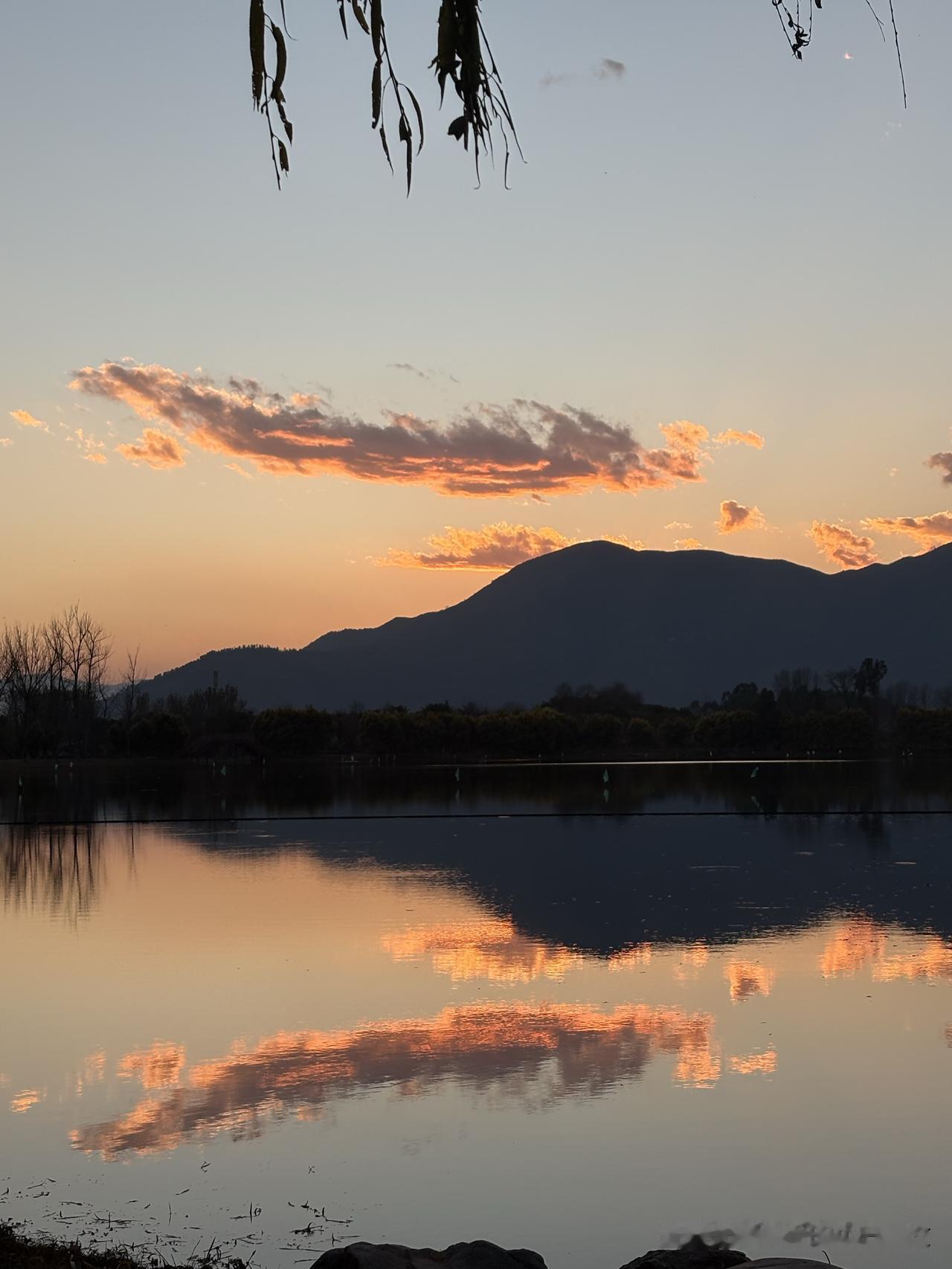 过年去哪儿玩？西昌可真是个宝藏地儿！春天这儿有月见草花海，那一大片柔粉在风里晃悠