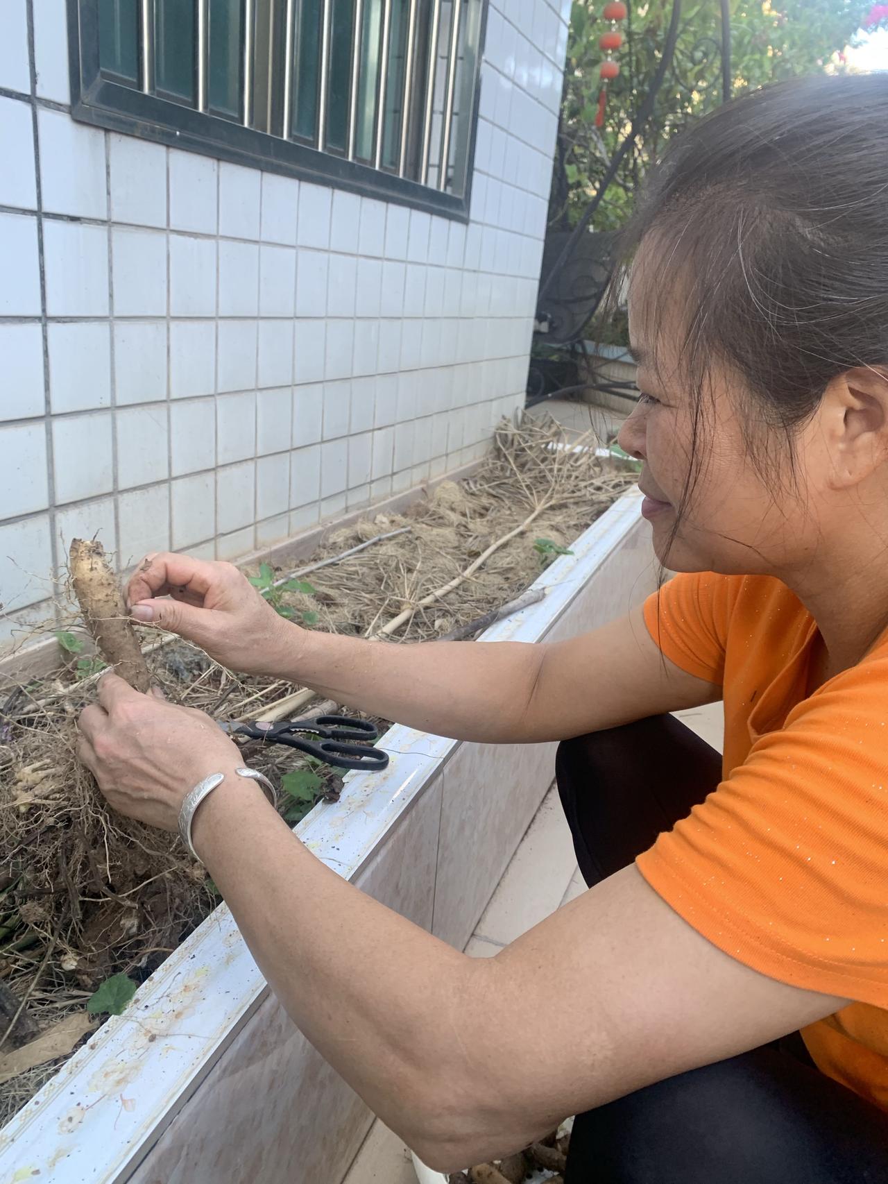 在城市生活，如果有一个地方，能种些东西，日子就有了不一样的感觉。