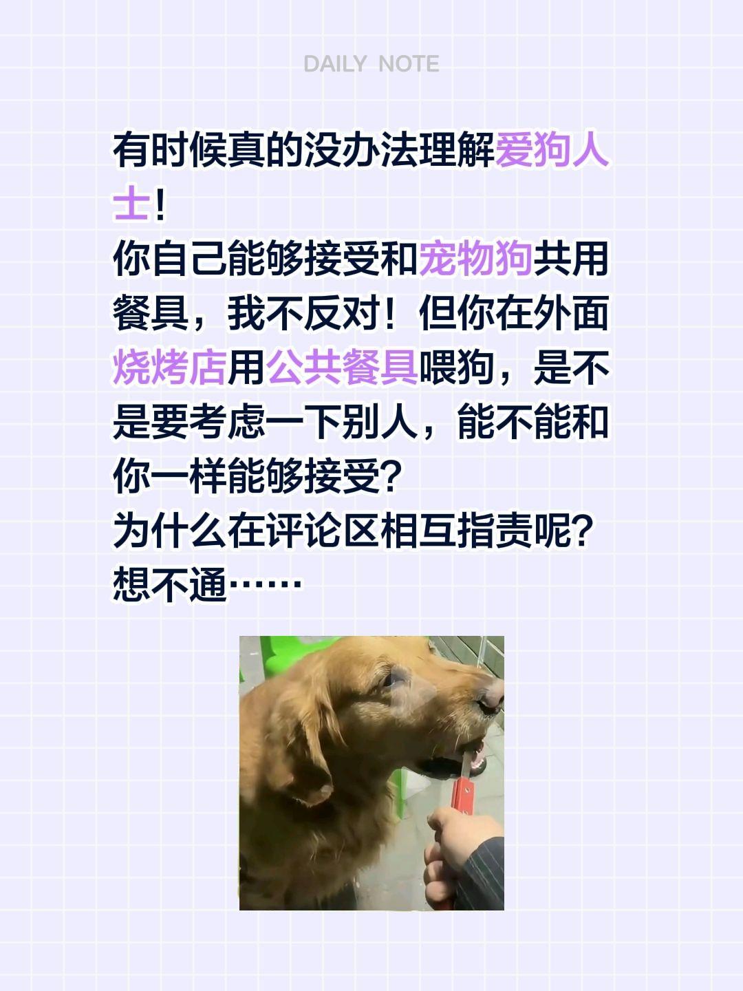 有时候真的没办法理解爱狗人士！
你自己能够接受和宠物狗共用餐具，我不反对！但你在