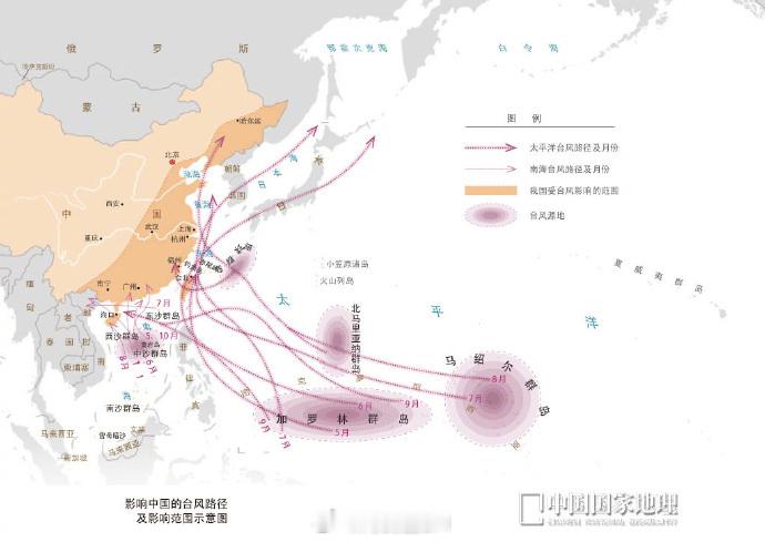 白海豚突然大拐弯 白海豚 北京 上海变海上！ 