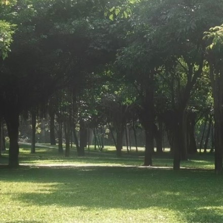 阳光信用🍃互动打卡 继续冲超🌸热度，今日份基础热度还差3.2w！每天签到，评
