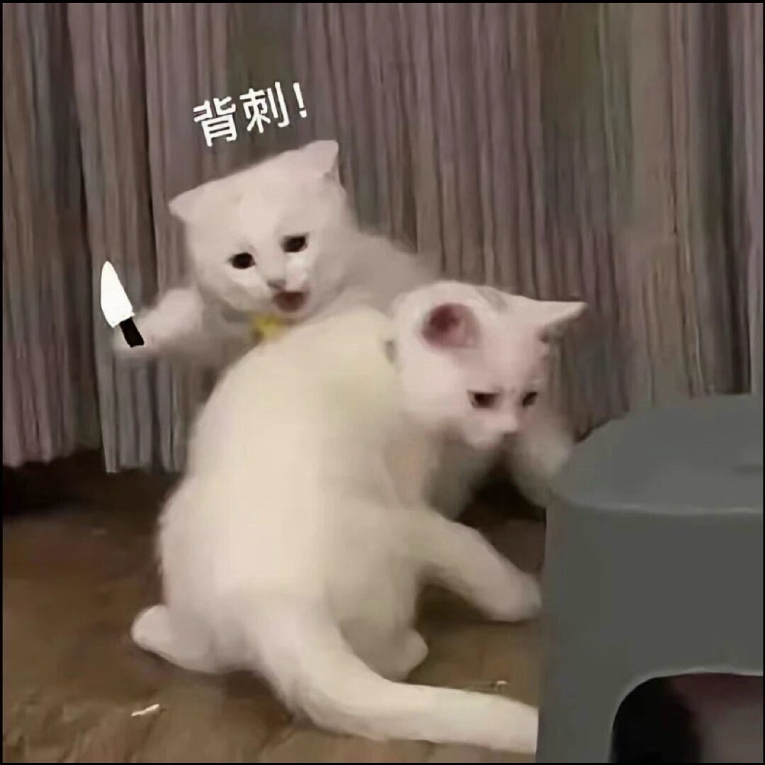 原来只有我上班在乱穿啥意思，只有我每天真的穿着几十块钱的破体恤上班吗[微笑] ​