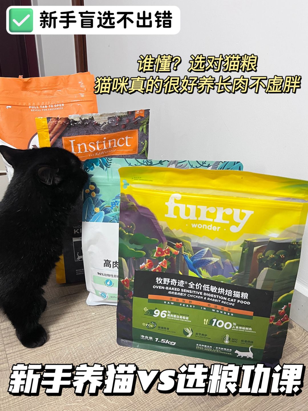新手选猫粮功课🦴铲屎官跟着买不出错❣️