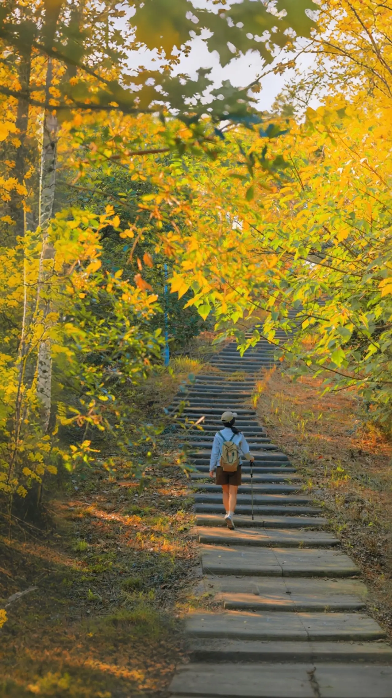 武汉赏秋🍂舍不得公开超冷门免费徒步秘境。Hi，我是周末爱旅行的收藏佳...