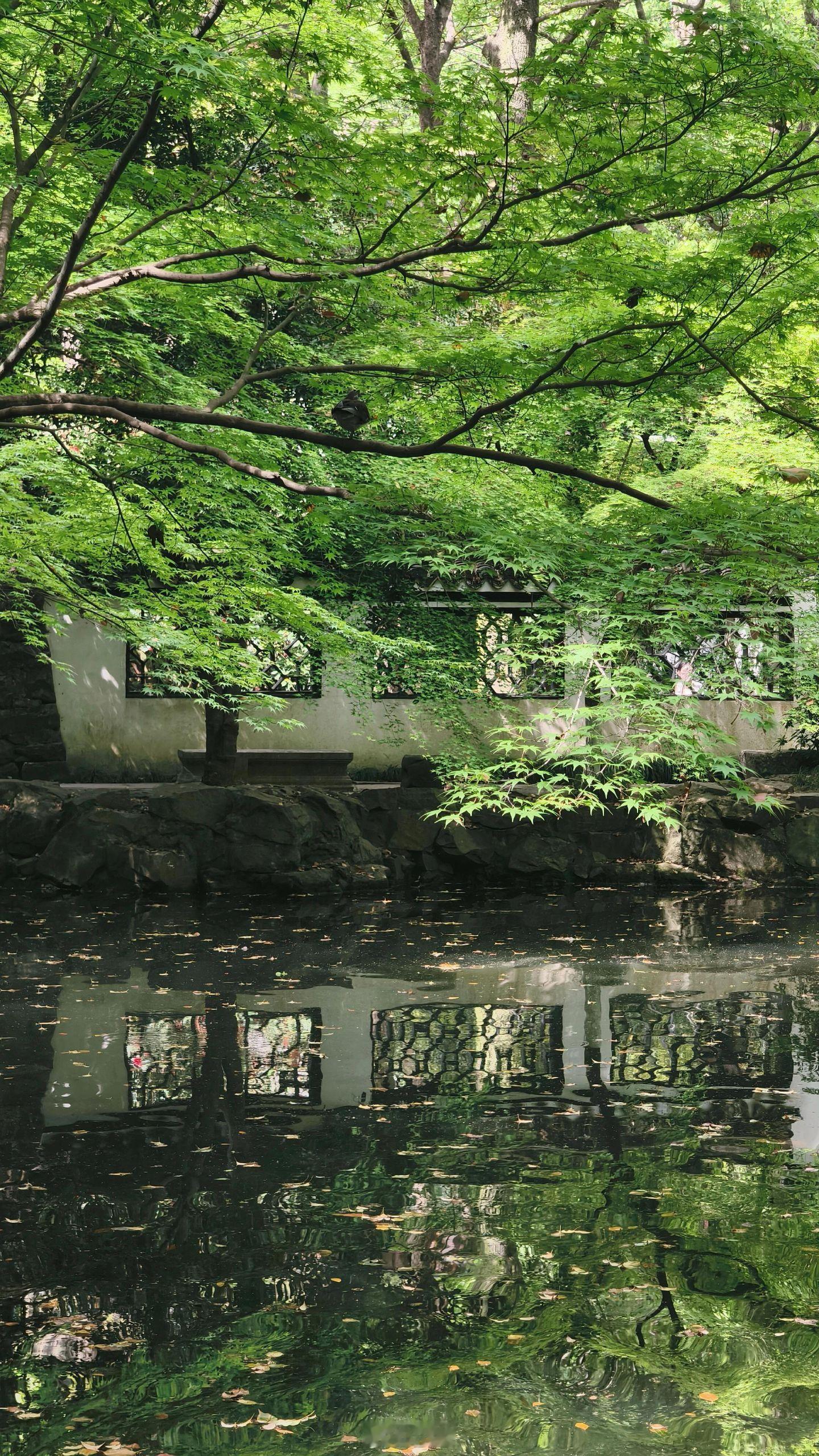 小菌 早朋友们四月是一场拥挤的绿 。很爱四月 