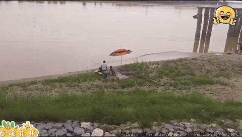 爸爸：你做你的，我做我的，你开心，我也开心。

妈妈：我啥也不做就盯着你，你必须