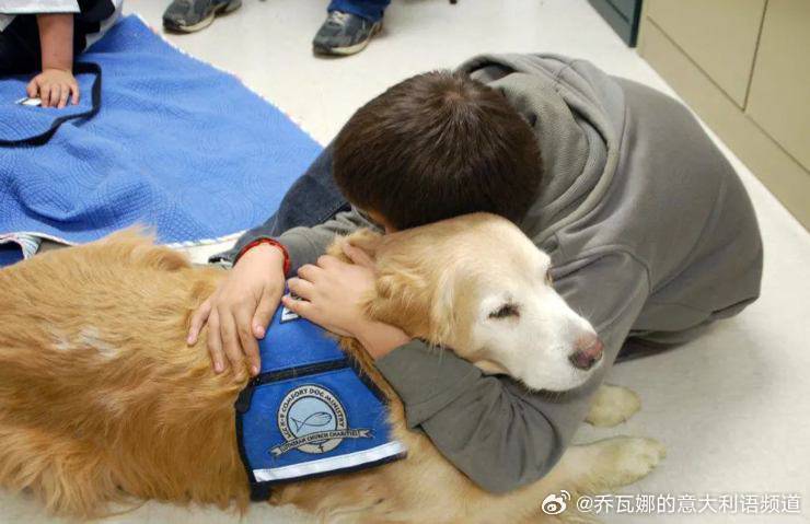 今年，意大利将统一落地一项人性化政策，明确员工每年可休三天全额带薪宠物陪护假。不