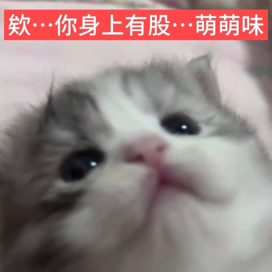 @ 全体互关 